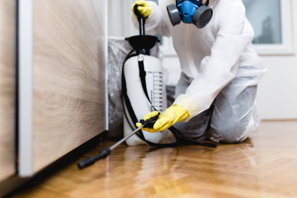 Best Pest Prevention Services  in Lesslie, SC