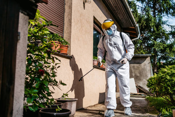 Best Cockroach Control Services  in Lesslie, SC