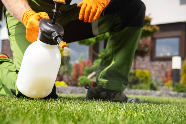 Best Exterminator Services  in Lesslie, SC