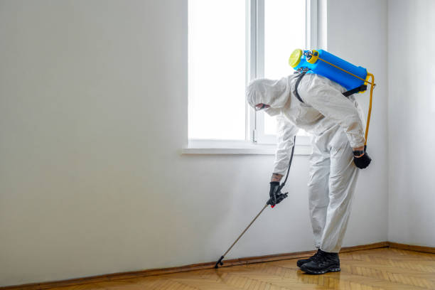 Best Best Pest Control Companies  in Lesslie, SC