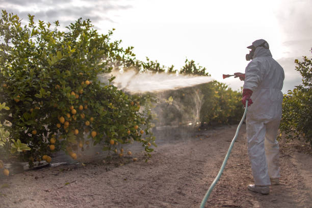 Best Mosquito Control Services  in Lesslie, SC