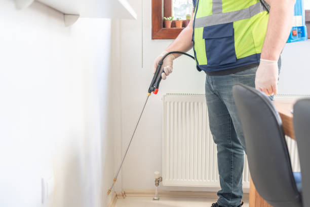 Best Wasp Removal Services  in Lesslie, SC