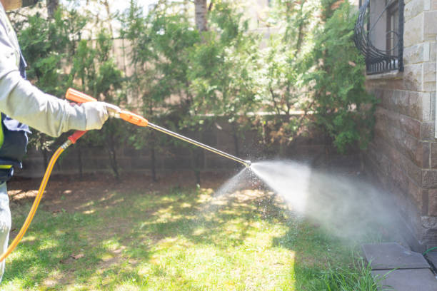 Best Flea Control Services  in Lesslie, SC