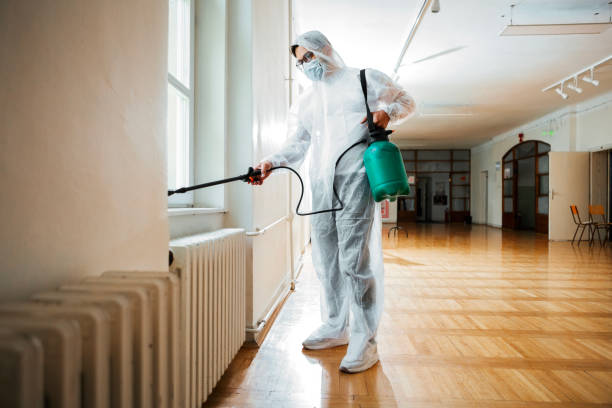 Best Pest Control for Homes  in Lesslie, SC