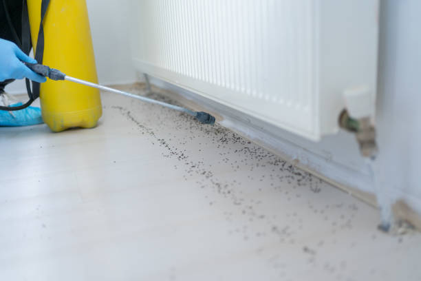 Best Pest Removal Services  in Lesslie, SC