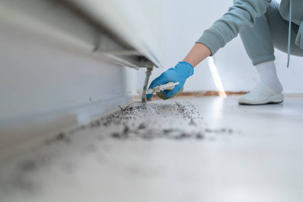 Best Pest Inspection Near Me  in Lesslie, SC
