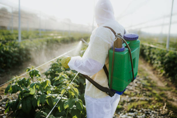 Best Cockroach Control Services  in Lesslie, SC